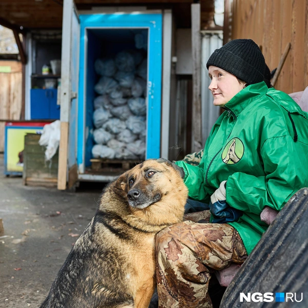В приюте работают всего несколько человек за символическую плату | Источник: Александр Ощепков / NGS.RU