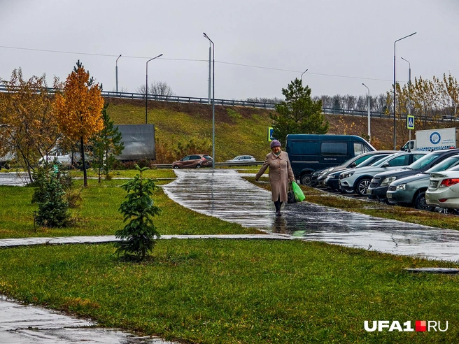 Но в магазин всё равно надо | Источник: Булат Салихов / UFA1.RU