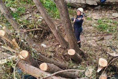 Новый обвал берега у 1-й Ельцовки в Новосибирске