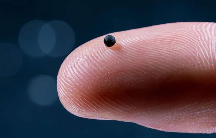 Доставка лекарств: крошечных роботов придумали запускать в кровь. Что это сделало с овцами и свиньями? Доставка лекарств: крошечных роботов придумали запускать в кровь. Что это сделало с овцами и свиньями?