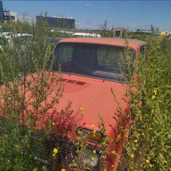 Вместе с китайским автомобилем продают ВАЗ-2121 | Источник: «ГИС Торги»