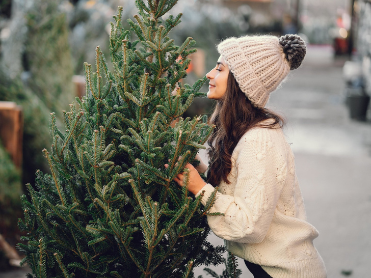 Когда нужно убирать новогоднюю елку, чтобы не навлечь беду — запомните эти даты