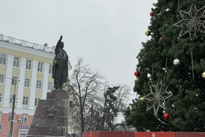 Рязанцы о новогоднем украшении города: мнение и ответ властей