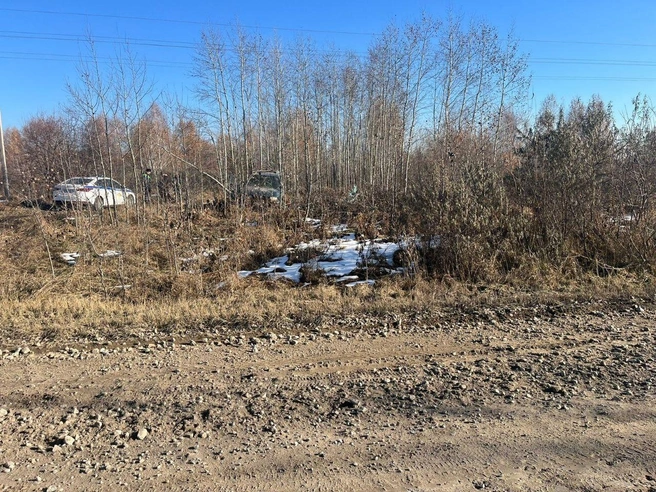 Причины съезда автомобиля в кювет устанавливаются следователями | Источник: ГАИ Новосибирской области