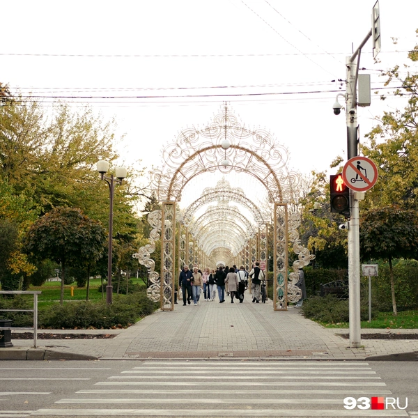 Источник: Дарья Паращенко / 93.RU