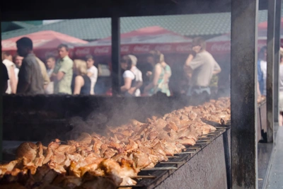 В Новосибирской области запретят шашлыки и лес с апреля