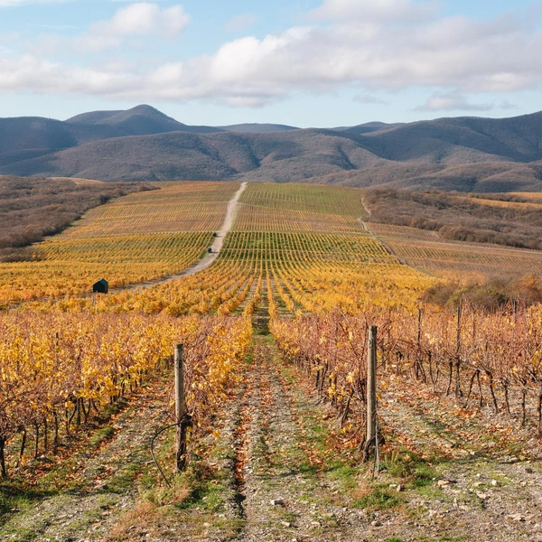 Источник: Андрей Белавин