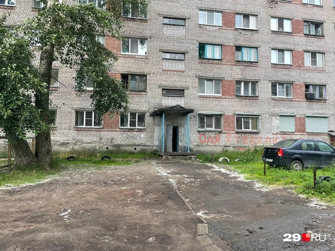 Останки нашли в подвале на Урицкого | Источник: Юлия Воронцова