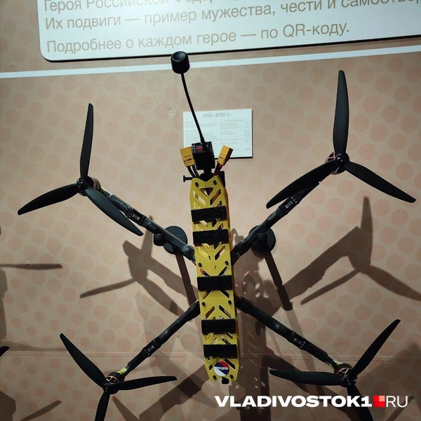 Источник: Татьяна Акишина / VLADIVOSTOK1.RU