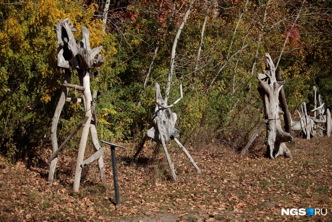 Экспонаты от арт-парка «Ёлки-Палки», арт-тропа «Чёмы» | Источник: Андрей Бортко / NGS.RU 