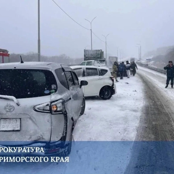 Источник: пресс-служба прокуратуры Приморского края