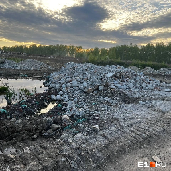 Так выглядит водоохранная зона за забором | Источник: Никита Соловьев