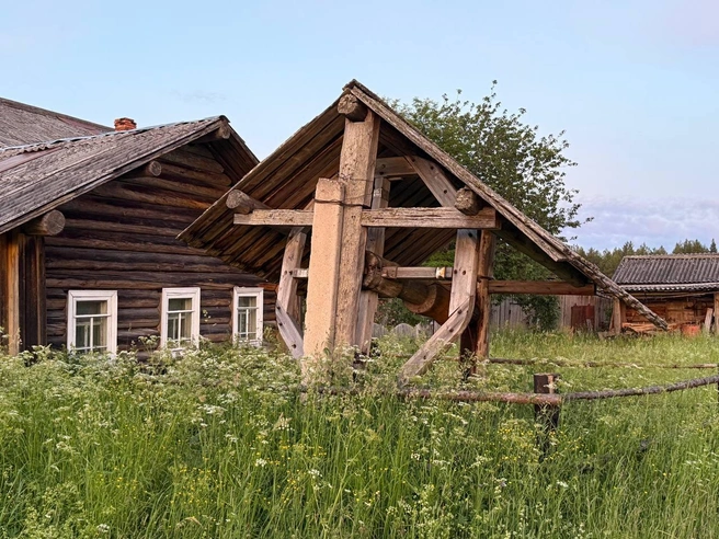 Источник: Даниил Черемный
