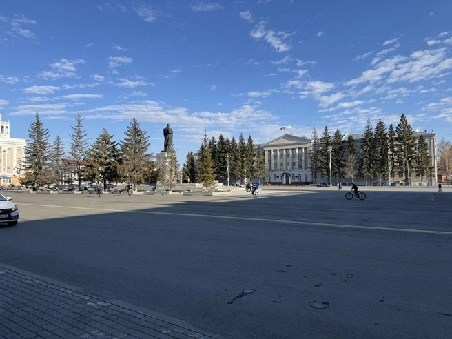 Ели на площади весной 2026 года | Источник: Юлия Король 