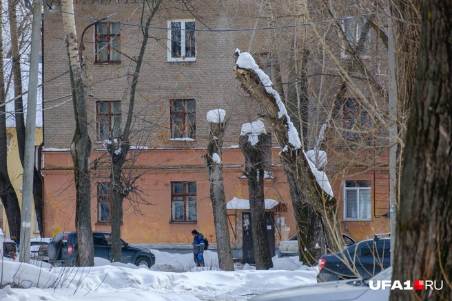 Мимо этих тополей тем вечером решил пройти мужчина | Источник: Булат Салихов / UFA1.RU