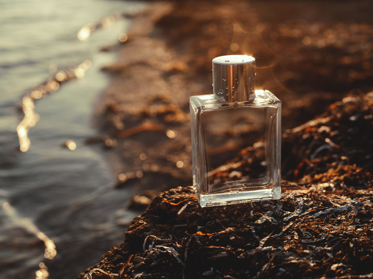 Море внутри: 20 восхитительных ароматов с запахом бриза, соли и песка, которые сразу перенесут вас на побережье