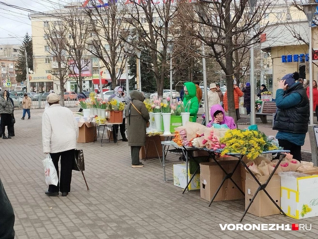 Источник: Дмитрий Волгин / Voronezh1.ru