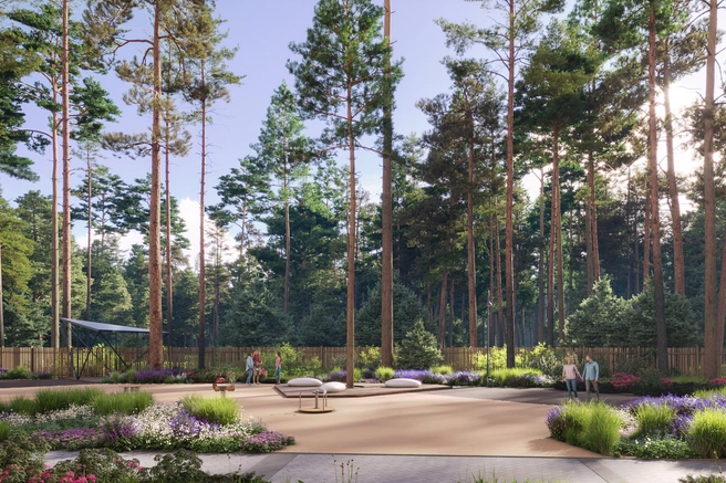 Высокие сосны создадут атмосферу прогулки в лесу, наполненном ароматом хвои
