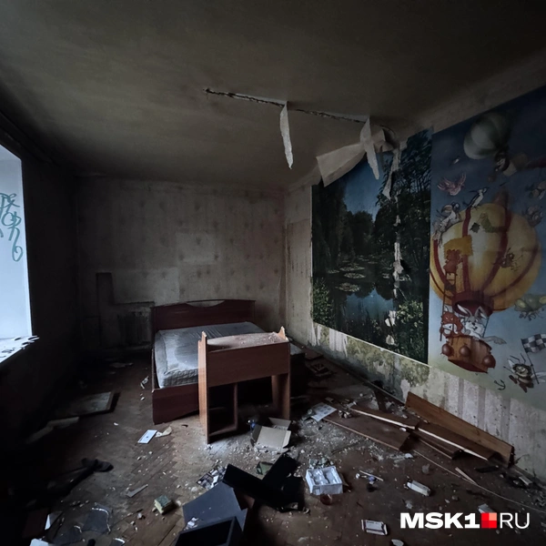 Источник: Алина Мельникова / MSK1.RU