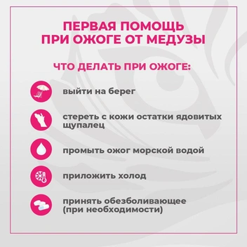 Источник: Правительство Приморского края / Telegram