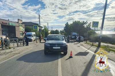 Водительнице грозит срок за сбитую на «зебре» девочку