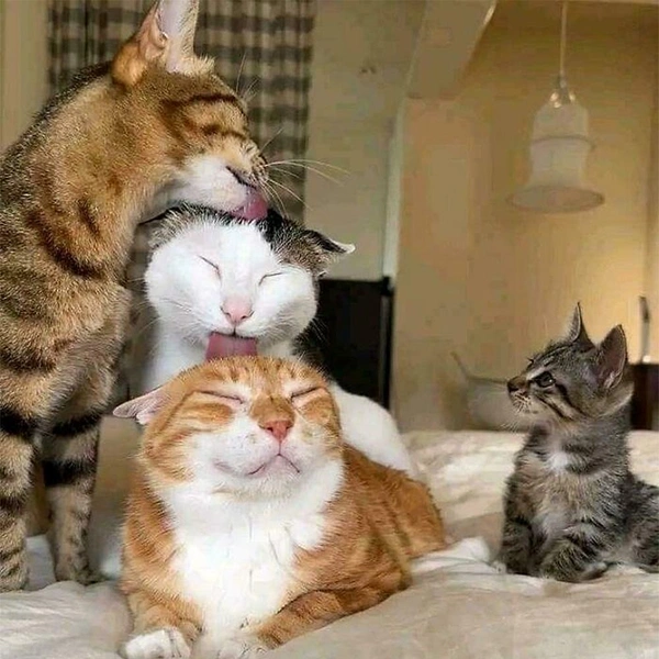 Источник: соцсеть