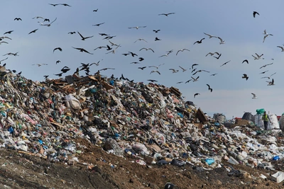 Левобережный полигон в Новосибирске продолжит работу до 2028