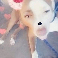 Аватарка Карандаш