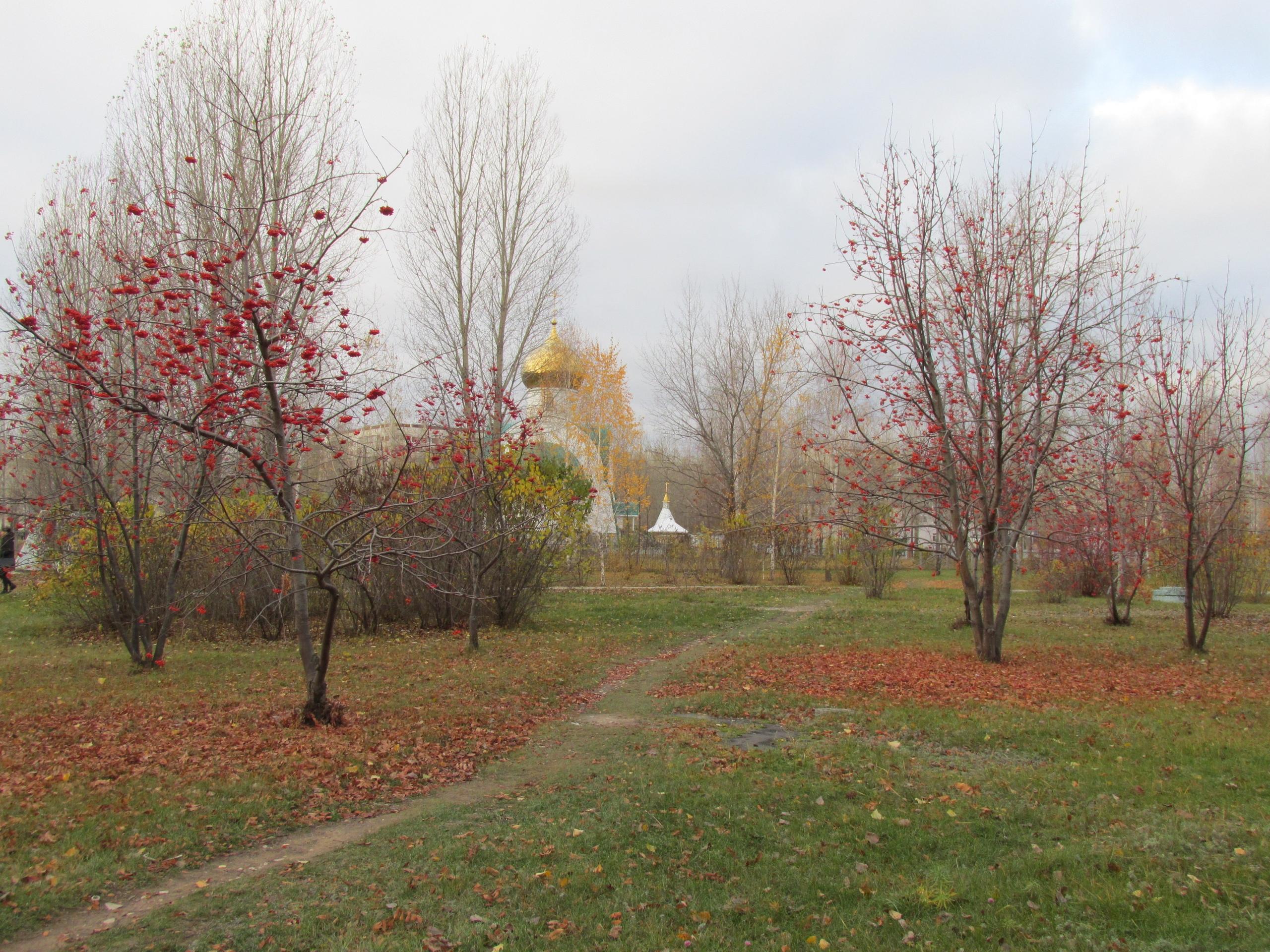 5 декабря в Ульяновске обесточат село Арское