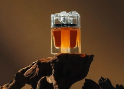 10 лучших сандаловых ароматов, которые подойдут каждому