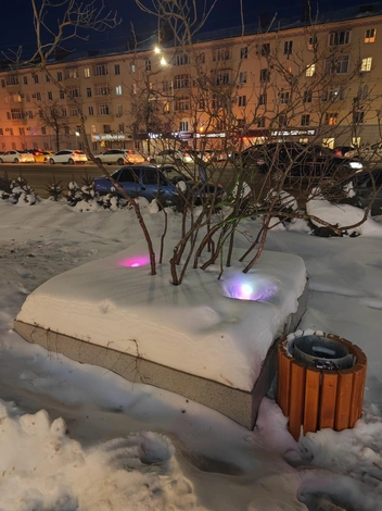 Источник: Александра Крайнева / Vk.com