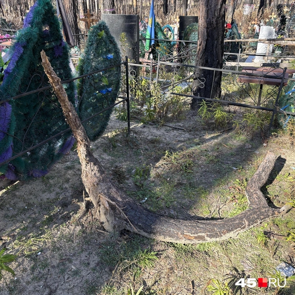 Источник: Кирилл Митин