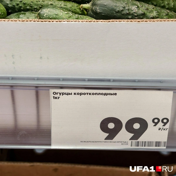 Источник: Булат Салихов / UFA1.RU