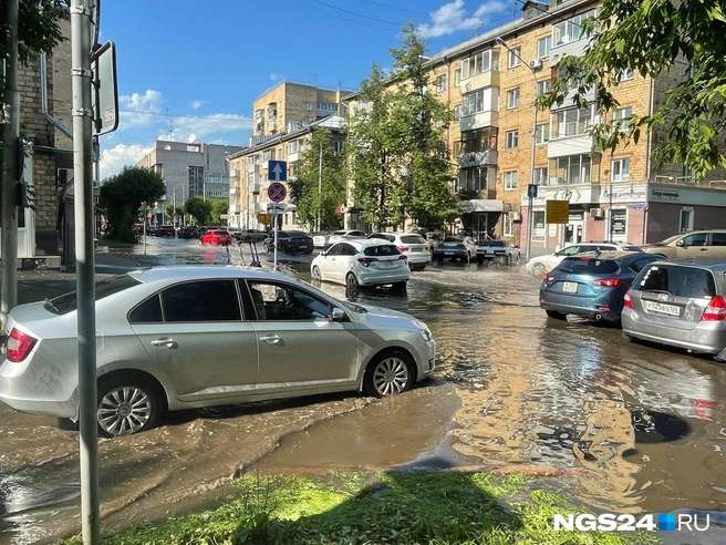 Когда жалеешь, что ты пешеход | Источник: читательница NGS24.RU