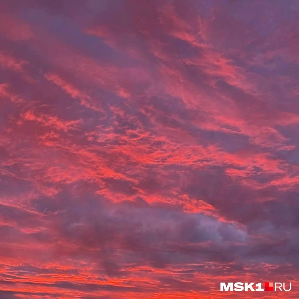 Источник: читатель MSK1.RU