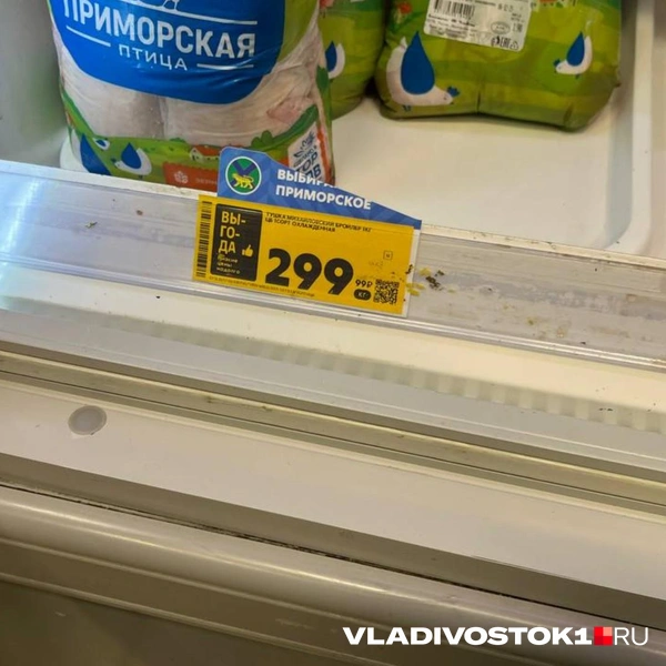 Источник: Елена Буйвол / VLADIVOSTOK1.RU