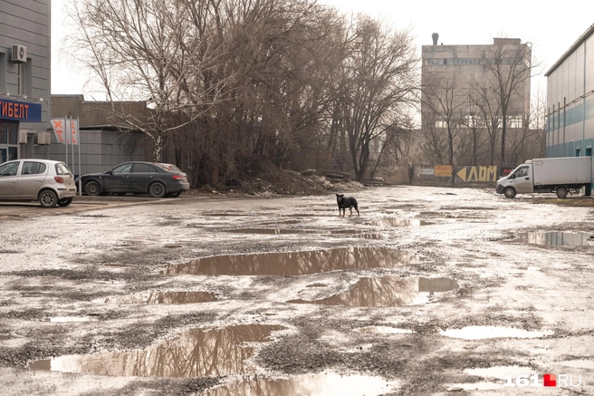 Относительно некоторых участков по обе стороны от нее | Источник: Евгений Вдовин / 161.RU