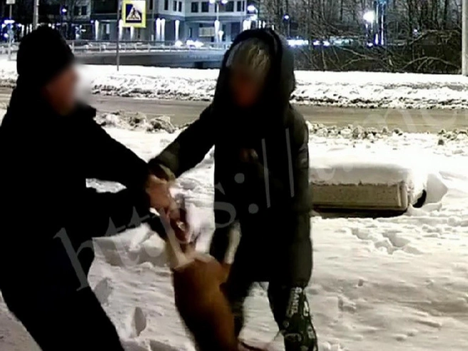 Петербуржец получил максимальное наказание за избиение соседки и собаки. Зверства попали на видео | Источник: ЛЕБЕДИНОЕ озеро / Телеграм