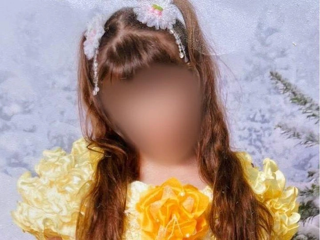 Алина ушла из двора и потерялась | Источник: УМВД по Екатеринбургу