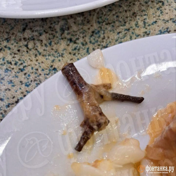 Источник: читатель «Фонтанки»