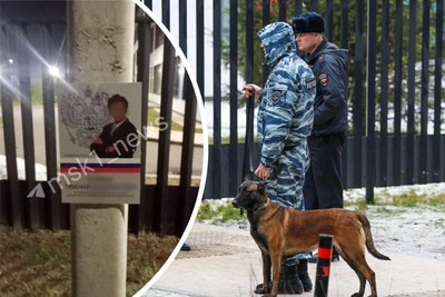 У школы в Одинцово повесили плакат с восхвалением убийцы