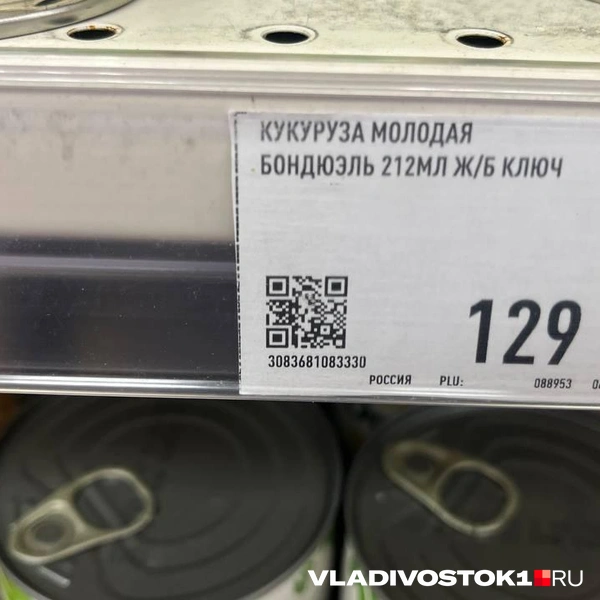 Источник: Елена Буйвол / VLADIVOSTOK1.RU
