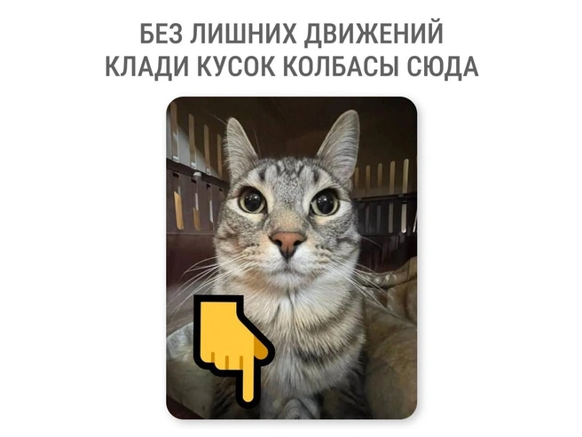 Это нападение | Источник: Мария Романова / Городские медиа