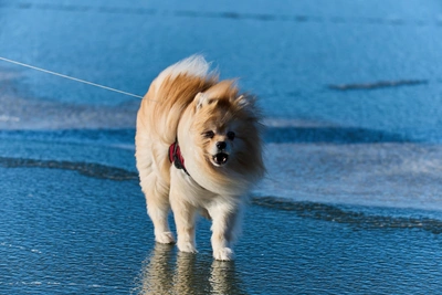 Синоптики предупредили об ухудшении погоды в Иркутске