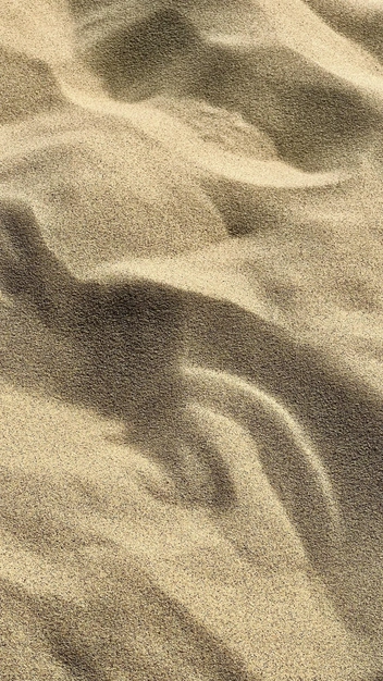 Бархан Сарыкум | Источник: Габриелла Захарова / 26.RU