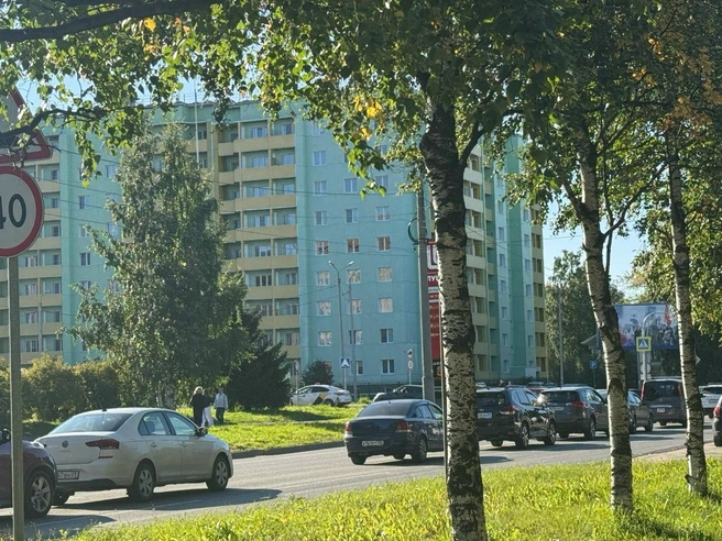 Источник: Валерия Богатырёва / 29.RU