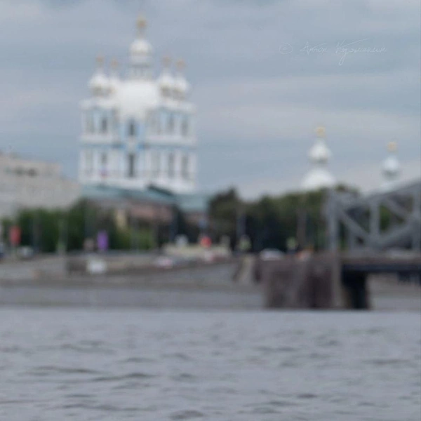 Источник: Антон Кубышкин / «Птицы СПб и России»