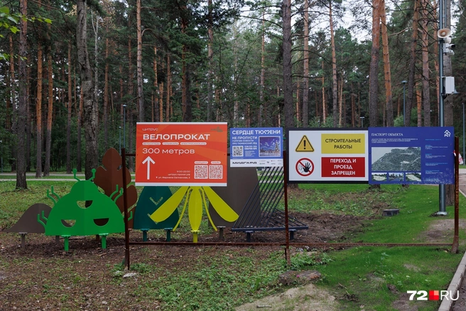 Начинаем прогулку по парку в 38 гектаров | Источник: Ирина Шарова / 72.RU 
