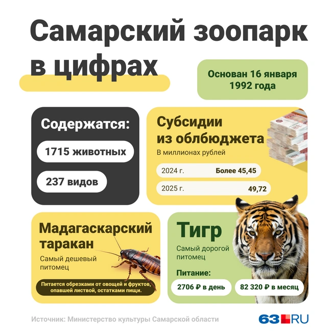 Источник: Мария Романова / Городские медиа