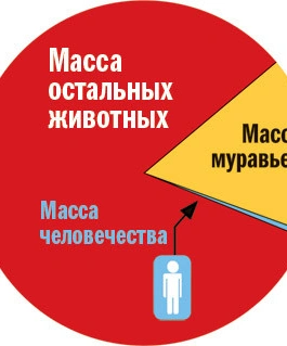 Муравечество. Как мелкие козявки стали влиятельнейшими существами на планете